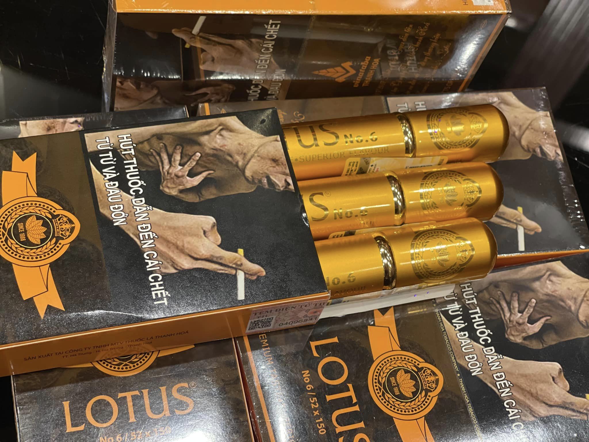 Cigar LOTUS NO.6 (Ống nhôm 1 điếu)