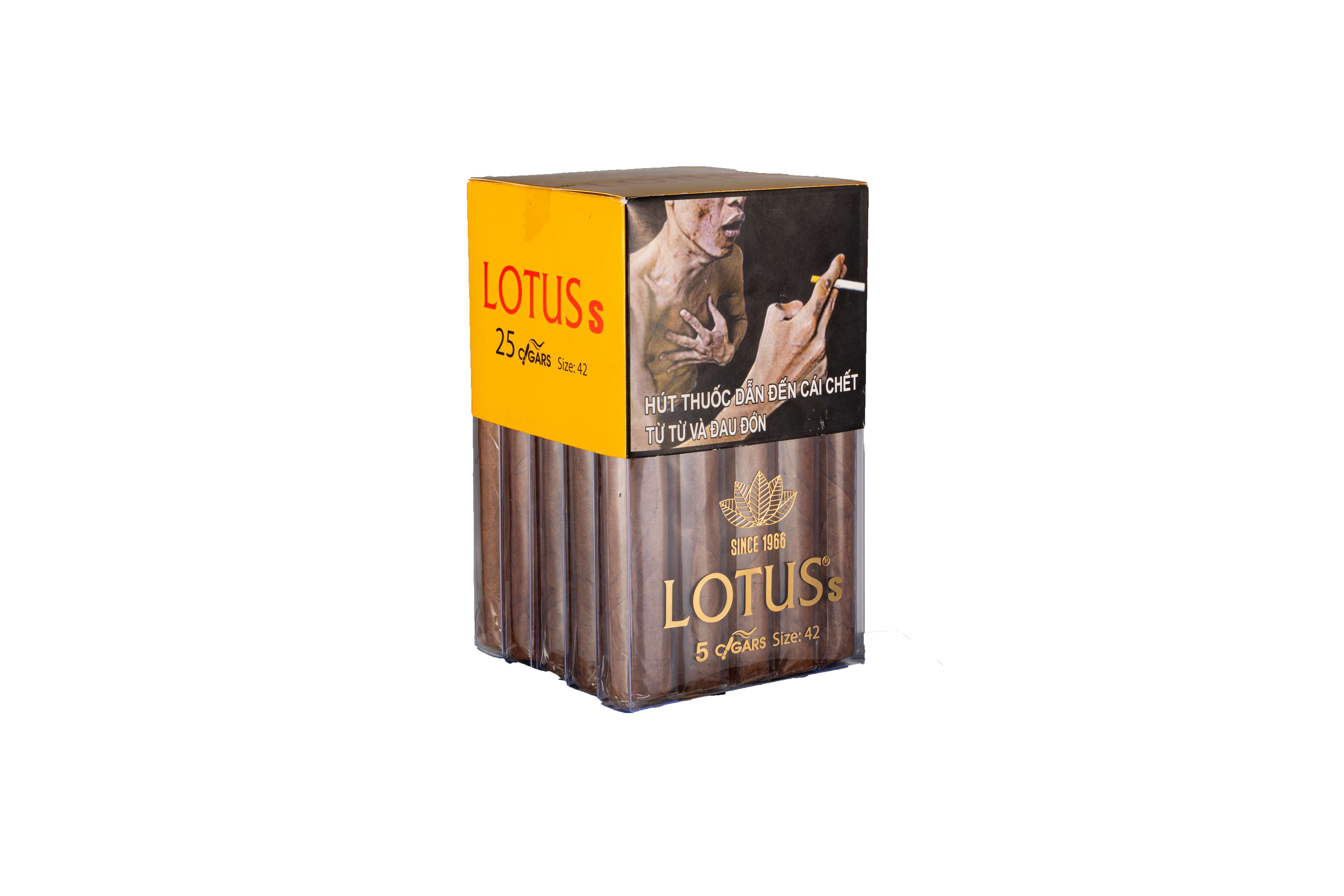 Cigar LOTUS S (Hộp giấy 25 điếu) (1 Pack / 5 Điếu)