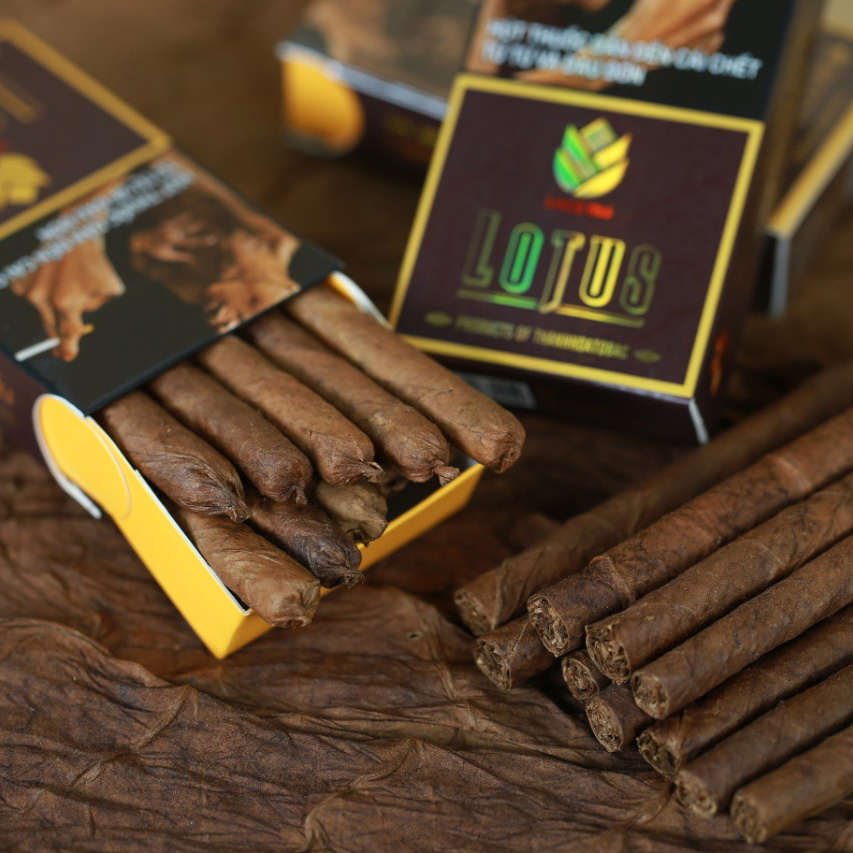 Cigar LOTUS CLUB (Hộp giấy 10 điếu)