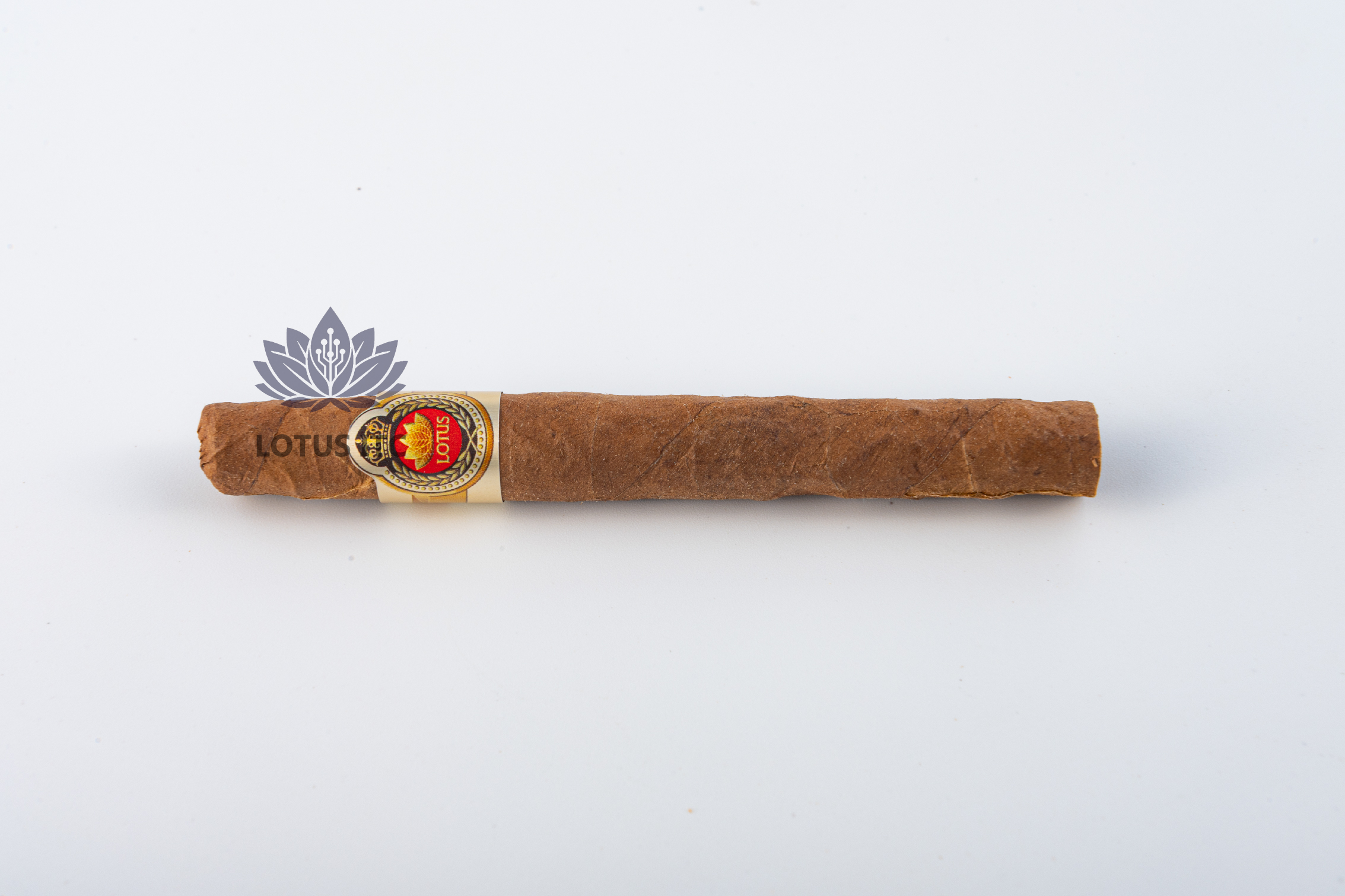 Cigar LOTUS SHORT (Hộp giấy 10 điếu) (1 Cây/5 Hộp)