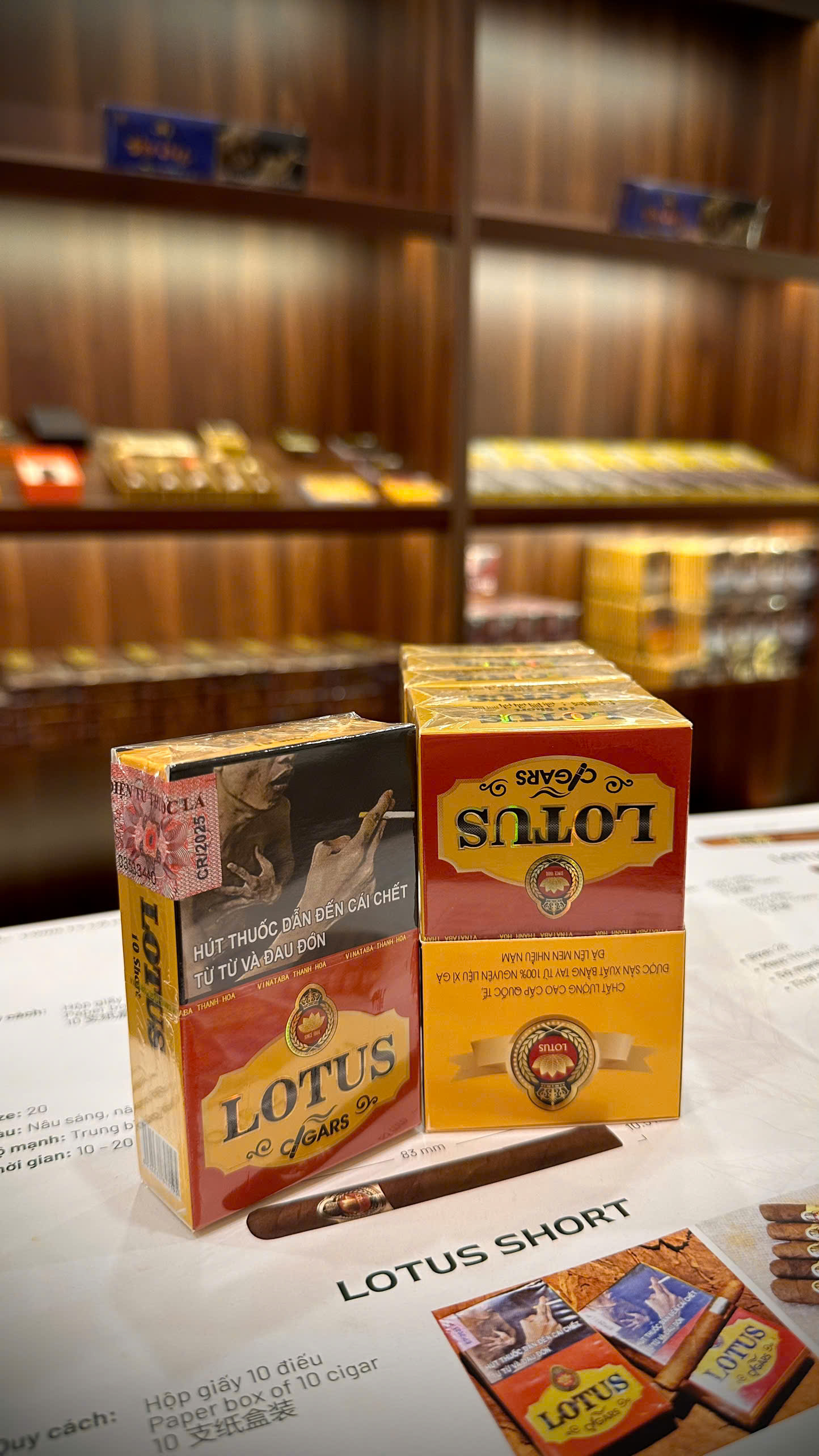 Cigar LOTUS SHORT (Hộp giấy 10 điếu)